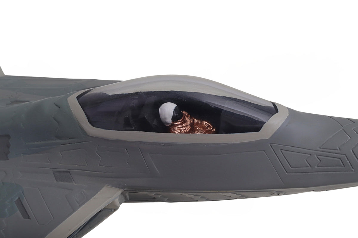EXEC SER F-22 RAPTOR 1/48 The Airplane Shop.