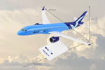 SKYMARKS BREEZE A220-300 1/100 The Airplane Shop.