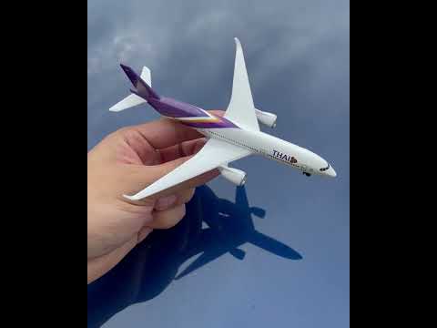 THAI SINGLE PLANE