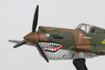 POSTAGE STAMP P-40 HELLS ANGELS 1/90 The Airplane Shop.